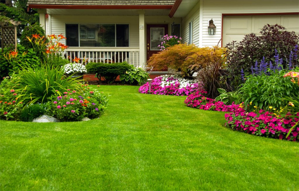 Lawn Care Fertilizing Landscaping Aeration Mulch Pest Control Lawn Maintenance