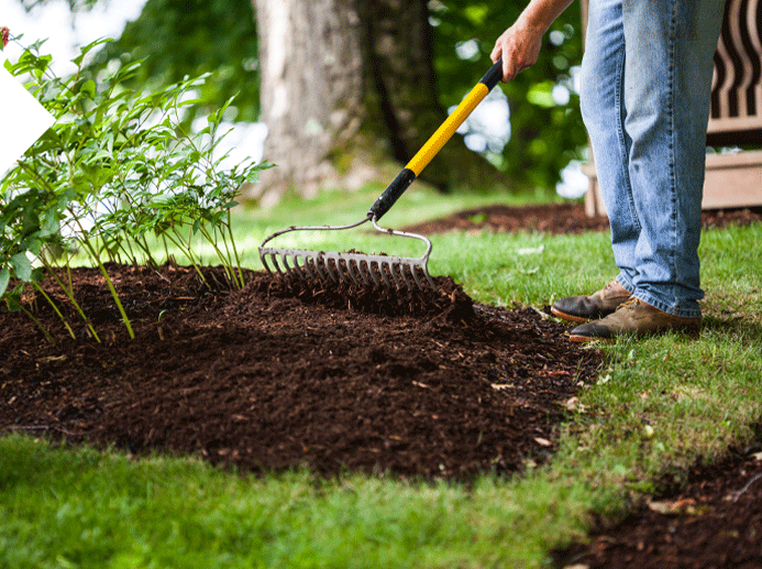 ketelsen-lawn-and-landscape-lawn-care-services-mulch