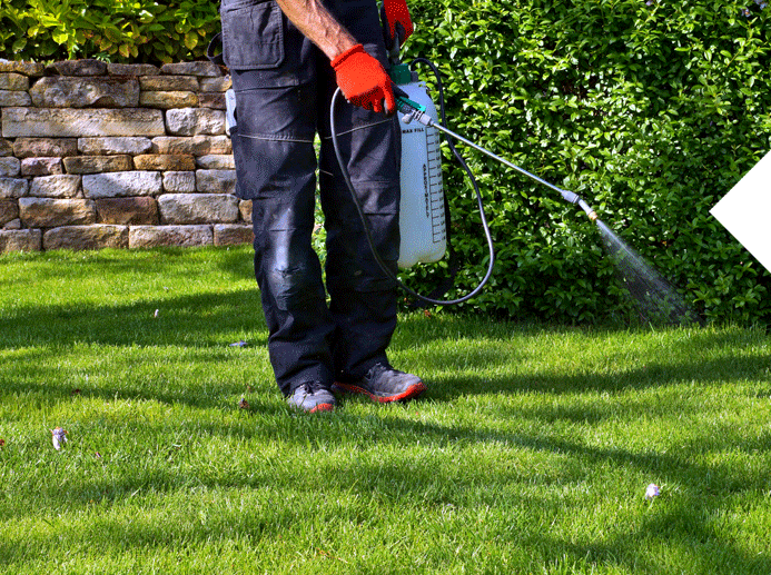 ketelsen-lawn-and-landscape-lawn-care-services-pest-control